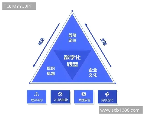 南京攀岩队的转型之路：从传统训练到现代竞技的全面解析
