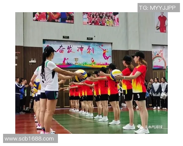 南京排球队心理素质分析与提升策略探讨