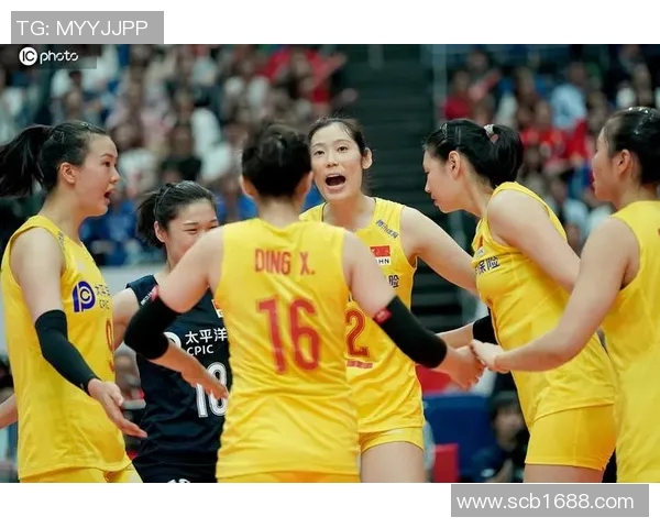 最新排球意识排行榜揭晓北京排球队强势领跑前十名