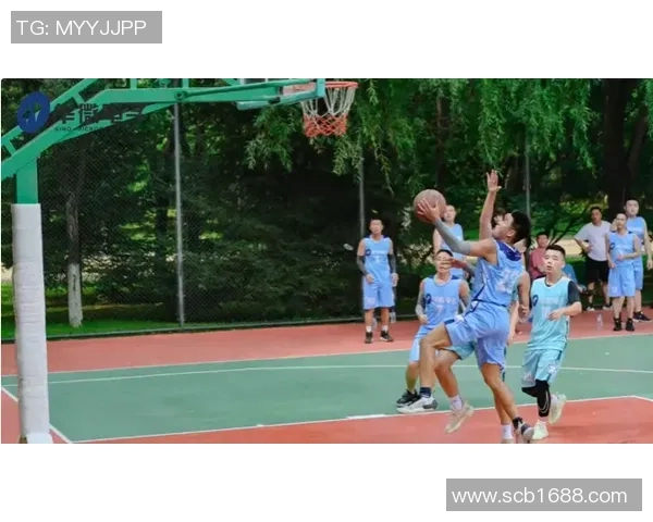 北京篮球队逆袭之路揭示团队精神与奋斗的力量