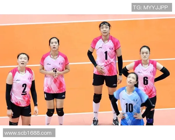 广州排球队实力分析与发展潜力探讨聚焦排球运动的未来之路 广州排球队实力分析与发展潜力探讨聚焦排球运动的未来之路