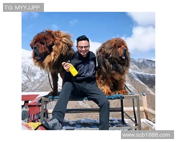 足球明星携手咖啡品牌打造新风尚引领时尚饮品潮流 足球明星携手咖啡品牌打造新风尚引领时尚饮品潮流