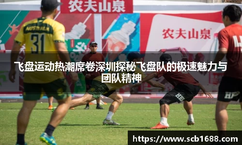 飞盘运动热潮席卷深圳探秘飞盘队的极速魅力与团队精神