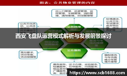 西安飞盘队运营模式解析与发展前景探讨