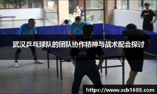 武汉乒乓球队的团队协作精神与战术配合探讨