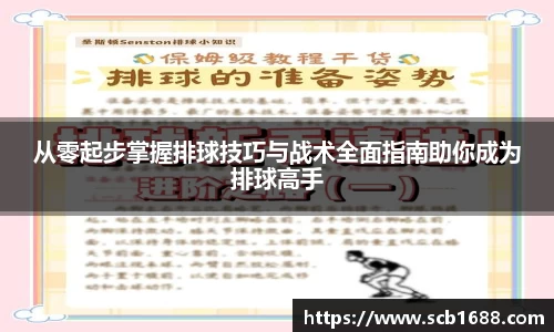 从零起步掌握排球技巧与战术全面指南助你成为排球高手