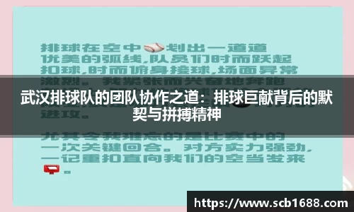 武汉排球队的团队协作之道：排球巨献背后的默契与拼搏精神