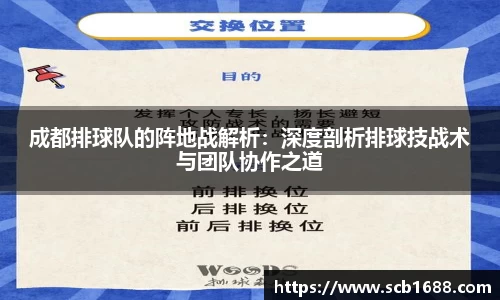 成都排球队的阵地战解析：深度剖析排球技战术与团队协作之道