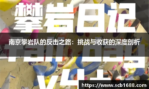 南京攀岩队的反击之路：挑战与收获的深度剖析