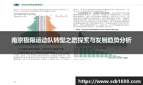 南京极限运动队转型之路探索与发展趋势分析